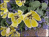 DSCN4908.JPG